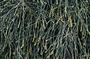 BUITEN BEELD Foto: 448622