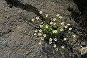 BUITEN BEELD Foto: 448625