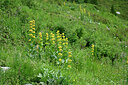 BUITEN BEELD Foto: 448627
