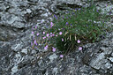 BUITEN BEELD Foto: 448631