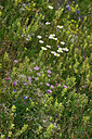 BUITEN BEELD Foto: 448633
