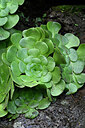 BUITEN BEELD Foto: 448638