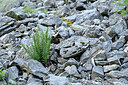 BUITEN BEELD Foto: 448640