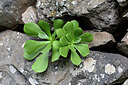 BUITEN BEELD Foto: 448641