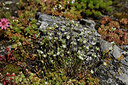 BUITEN BEELD Foto: 448642