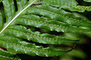 BUITEN BEELD Foto: 448644