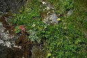 BUITEN BEELD Foto: 448647