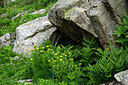 BUITEN BEELD Foto: 448648