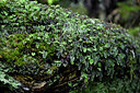 BUITEN BEELD Foto: 448650