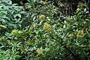 BUITEN BEELD Foto: 448652