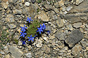 BUITEN BEELD Foto: 448653