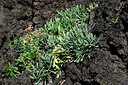 BUITEN BEELD Foto: 448656