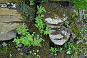 BUITEN BEELD Foto: 448664