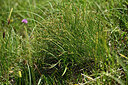 BUITEN BEELD Foto: 448665