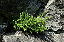 BUITEN BEELD Foto: 448667