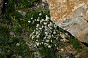 BUITEN BEELD Foto: 448669
