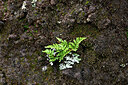 BUITEN BEELD Foto: 448670