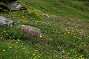 BUITEN BEELD Foto: 448674