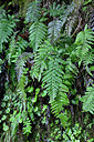 BUITEN BEELD Foto: 448675