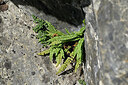BUITEN BEELD Foto: 448679