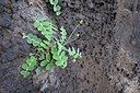BUITEN BEELD Foto: 448680