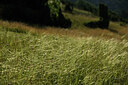 BUITEN BEELD Foto: 448688