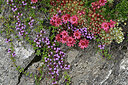 BUITEN BEELD Foto: 448691