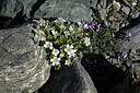 BUITEN BEELD Foto: 448692