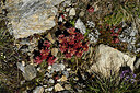 BUITEN BEELD Foto: 448693