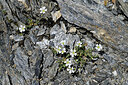 BUITEN BEELD Foto: 448696