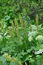 BUITEN BEELD Foto: 448700