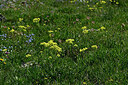 BUITEN BEELD Foto: 448702