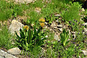 BUITEN BEELD Foto: 448705