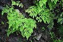 BUITEN BEELD Foto: 448708