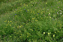BUITEN BEELD Foto: 448709