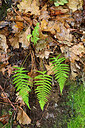BUITEN BEELD Foto: 448710