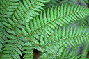 BUITEN BEELD Foto: 448711