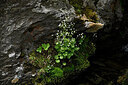 BUITEN BEELD Foto: 448718