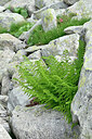 BUITEN BEELD Foto: 448719