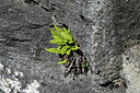 BUITEN BEELD Foto: 448720