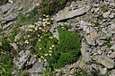 BUITEN BEELD Foto: 448726