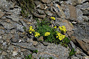 BUITEN BEELD Foto: 448731