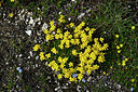 BUITEN BEELD Foto: 448733
