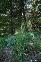 BUITEN BEELD Foto: 448736