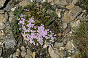 BUITEN BEELD Foto: 448737