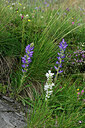 BUITEN BEELD Foto: 448738