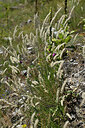 BUITEN BEELD Foto: 448739