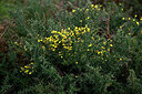 BUITEN BEELD Foto: 448740