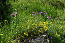 BUITEN BEELD Foto: 448741