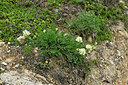 BUITEN BEELD Foto: 448745
